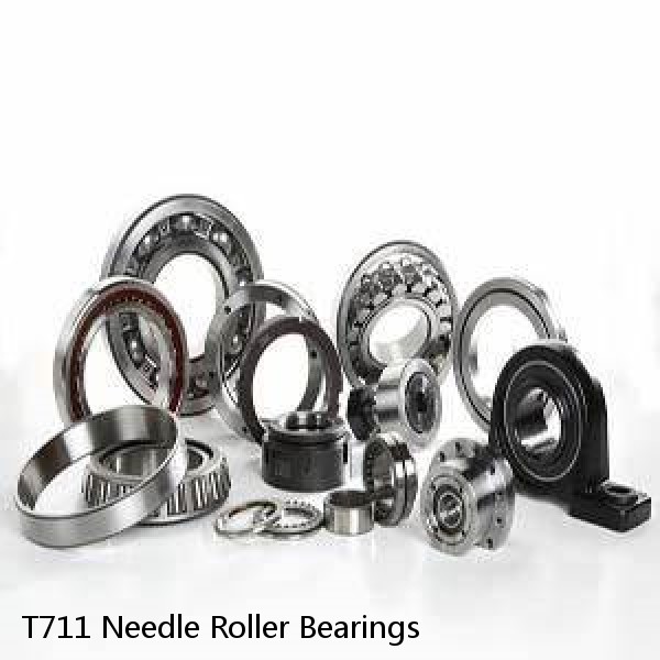 T711 Needle Roller Bearings #1 image